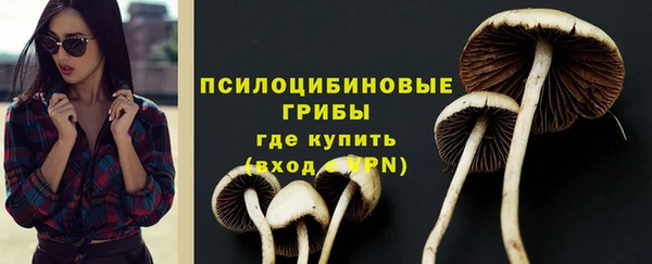 твердый Абаза