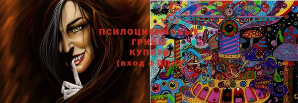 ПСИЛОЦИБИНОВЫЕ ГРИБЫ Абдулино