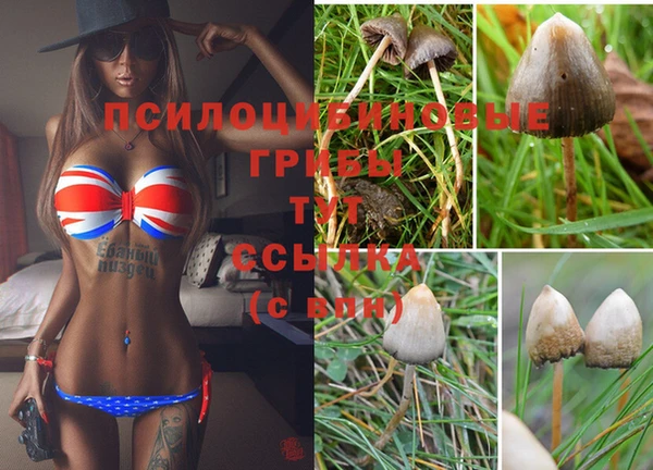 твердый Абаза