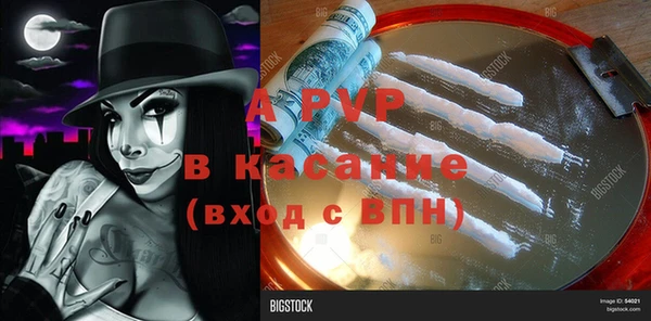 ПСИЛОЦИБИНОВЫЕ ГРИБЫ Абдулино