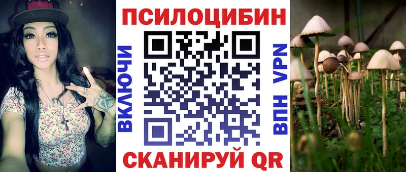omg рабочий сайт  Нальчик  Галлюциногенные грибы мухоморы 
